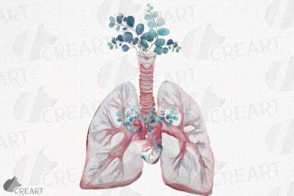 Eucalyptus Anatomical Blush Lungs Heart Graphics