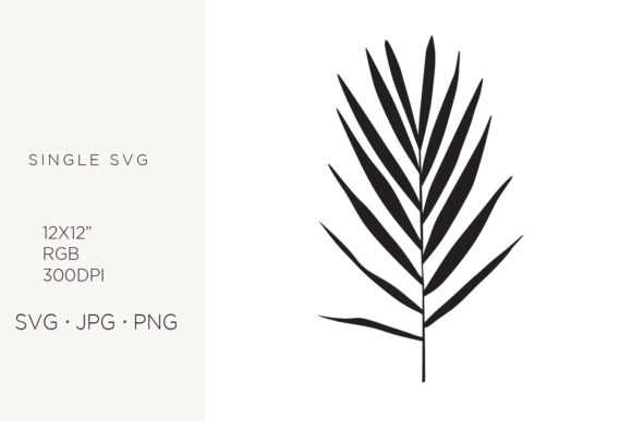 Illustration of a Palm Branch: Graphics & Icons for Digital Selling